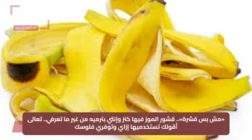 «مش بس قشرة».. قشور الموز فيها كنز وإنتي بترميه من غير ما تعرفي.. تعالى أقولك تستخدميها إزاي وتوفري فلوسك