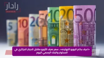 «اعرف بكام اليورو النهارده».. سعر صرف الأورو مقابل الدينار الجزائري في السكوار والبنك الرسمي اليوم