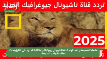 «استكشف بمفردك».. تردد قناة ناشيونال جيوغرافيك 2025 الجديد علي النايل سات لمتابعة برامج الطبيعة