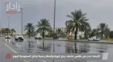 الأرصاد تحذر من طقس عاصف: رياح قوية وأمطار رعدية تجتاح السعودية اليوم