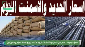 «تحرُك جديد».. سعر طن الحديد والأسمنت اليوم الاحد 6 يوليو 2025 للتجار والموزعين