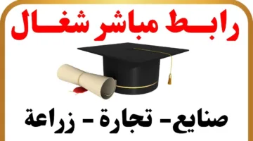 ’’الان’’.. نتيجة الدبلومات الفنية 2025 في مصر استخرجها بأسمك ورقم الجلوس 