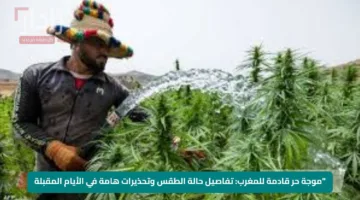 موجة حر قادمة للمغرب.. تفاصيل حالة الطقس وتحذيرات هامة في الأيام المقبلة