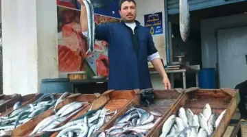 حصريًا أسعار السمك اليوم الإثنين 7 يوليو 2025 في السوق المصري