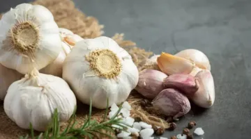 حصريًا فوائد الثوم النئ المذهلة في مكافحة مرض خطير بفعالية عالية