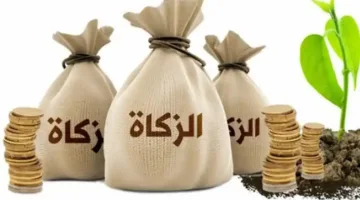 حصريًا نصاب الزكاة في الجزائر لعام 2025 والحد الأدنى 1615000 دينار مع تسهيلات دفع جديدة