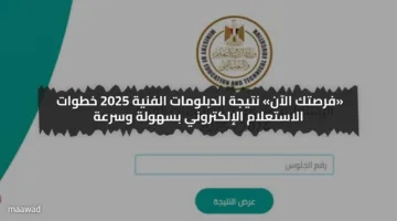 الان ..رابط نتيجة الدبلومات الفنية 2025 الدور الأول برقم الجلوس  عبر موقع بوابة التعليم الفني