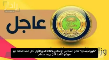 “ظهرت رسميًا”.. نتائج السادس الإعدادي 2025 الدور الأول لكل المحافظات عبر موقع نتائجنا الآن برابط مباشر