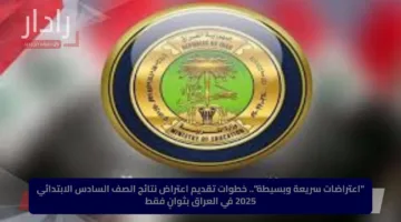 “اعتراضات سريعة وبسيطة”.. خطوات تقديم اعتراض نتائج الصف السادس الابتدائي 2025 في العراق بثوانٍ فقط