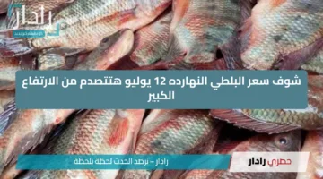 “معقولة البوري وصل 180”.. شوف بنفسك أسعار السمك والجمبري النهارده في الإسكندرية.. هتتصدم من الارتفاع الكبير!!