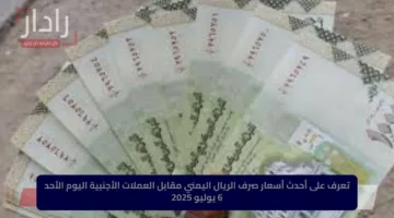 تعرف على أحدث أسعار صرف الريال اليمني مقابل العملات الأجنبية اليوم الأحد 6 يوليو 2025
