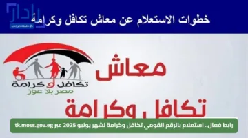 رابط فعال.. استعلام بالرقم القومي تكافل وكرامة لشهر يوليو 2025 عبر tk.moss.gov.eg