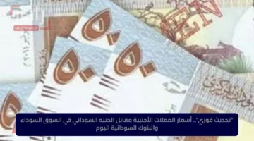 “تحديث فوري”.. أسعار العملات الأجنبية مقابل الجنيه السوداني في السوق السوداء والبنوك السودانية اليوم