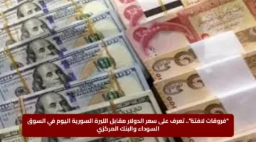 “فروقات لافتة”.. تعرف على سعر الدولار مقابل الليرة السورية اليوم في السوق السوداء والبنك المركزي