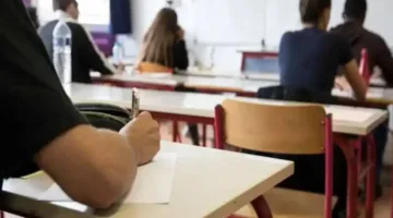 لطلب نتائج السادس المهني 2025 في العراق.. خطوات الاستعلام السريعة والواضحة