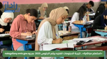 «استعلم مباشرة».. نتيجة الدبلومات الفنيه برقم الجلوس 2025 عبر nategafany.emis.gov.eg