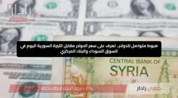 هبوط متواصل للدولار.. تعرف على سعر الدولار مقابل الليرة السورية اليوم في السوق السوداء والبنك المركزي