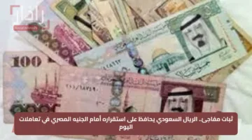 ثبات مفاجئ.. الريال السعودي يحافظ على استقراره أمام الجنيه المصري في تعاملات اليوم