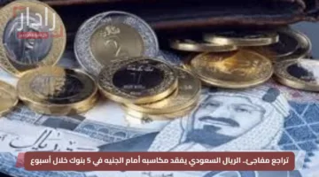 تراجع مفاجئ.. الريال السعودي يفقد مكاسبه أمام الجنيه في 5 بنوك خلال أسبوع