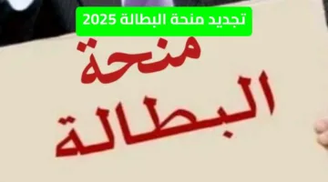 «راحة وأمان» تجديد منحة البطالة 2025 خطوات إلكترونية تضمن الاستفادة المستمرة