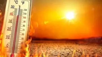 موجة حر شديدة تضرب الجزائر في يوليو 2025.. تفاصيل درجات الحرارة المتوقعة