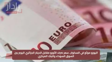 اليورو مولّع في السكوار.. سعر صرف الأورو مقابل الدينار الجزائري اليوم بين السوق السوداء والبنك المركزي