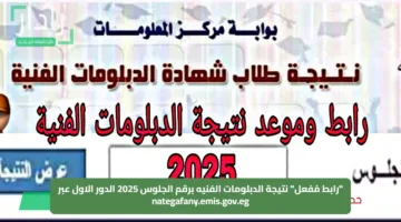 “رابط مُفعل” نتيجة الدبلومات الفنيه برقم الجلوس 2025 الدور الاول عبر nategafany.emis.gov.eg