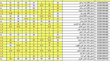 “وزارة التربية العراقية” توضح رابط الاستعلام عن نتائج السادس الاعدادي 2025 ..  وموعد ظهورها الرسمي