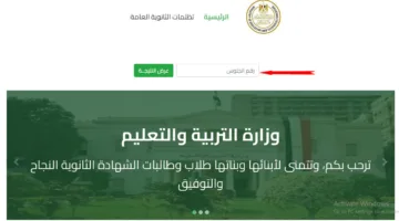 الآن رابط معرفة نتيجة الثانوية العامة 2025 برقم الجلوس فور اعتمادها