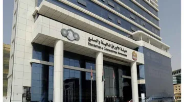 «نمو هائل» الإمارات ارتفاع قياسي في قيمة الأصول المدارة خلال النصف الأول 230%