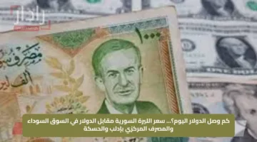 كم وصل الدولار اليوم؟… سعر الليرة السورية مقابل الدولار في السوق السوداء والمصرف المركزي بإدلب والحسكة