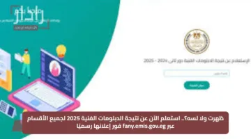 ظهرت ولا لسه؟.. استعلم الآن عن نتيجة الدبلومات الفنية 2025 لجميع الأقسام عبر fany.emis.gov.eg فور إعلانها رسميًا