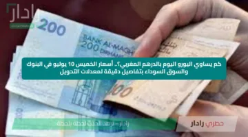 كم يساوي اليورو اليوم بالدرهم المغربي؟.. أسعار الخميس 10 يوليو في البنوك والسوق السوداء بتفاصيل دقيقة لمعدلات التحويل