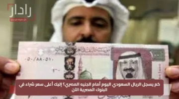 كم يسجل الريال السعودي اليوم أمام الجنيه المصري؟ إليك أعلى سعر شراء في البنوك المصرية الآن