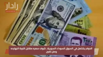 الدولار يشتعل في السوق السوداء السورية.. شوف سعره مقابل الليرة النهارده وصل لفين