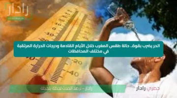 الحر يضرب بقوة.. حالة طقس المغرب خلال الأيام القادمة ودرجات الحرارة المرتقبة في مختلف المحافظات