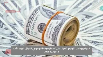الدولار يواصل التراجع.. تعرف على أسعار صرف الدولار في العراق اليوم الأحد 13 يوليو 2025