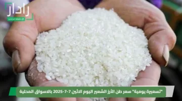 “تسعيرة يومية” سعر طن الأرز الشعير اليوم الاثين 7-7-2025 بالاسواق المحلية