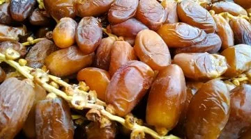 أسعار البلح السيوي وأنواع البلح الأخرى تتراجع في أسواق مطروح اليوم الأحد
