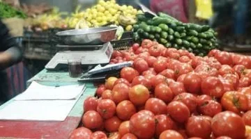 أسعار الخضروات والفاكهة اليوم في كفر الشيخ وتأثيرها على الأسواق المحلية
