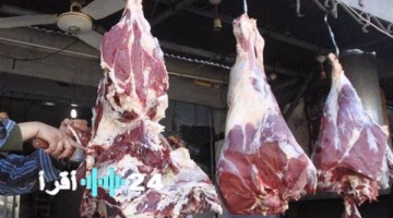 أسعار الكندوز اليوم الثلاثاء 26 أغسطس 2025.. تعرف على السعر الاسترشادي للحم المتاح للجميع