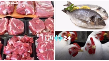 استقرار نسبي في أسعار اللحوم والدواجن مع تذبذب ملحوظ في أسعار الأسماك.. تعرف على التفاصيل اليوم