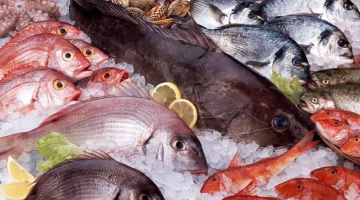 تغير جديد في أسعار الأسماك اليوم الثلاثاء.. تعرف على السعر المحدث الآن