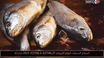 تغير جديد في أسعار السمك اليوم الأربعاء.. تعرف على الأسعار المحدثة الآن