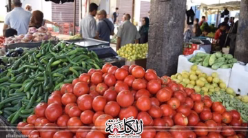تغيرات جديدة في أسعار الخضار والفاكهة اليوم.. تعرف على الأسعار المحدثة