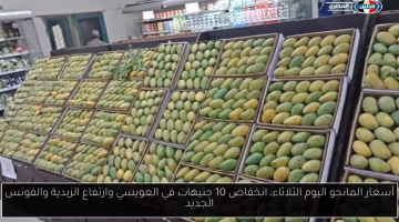 تغيرات جديدة في أسعار المانجو اليوم الثلاثاء.. تعرف على سعر العويسي والزبدية والفونس الجديد