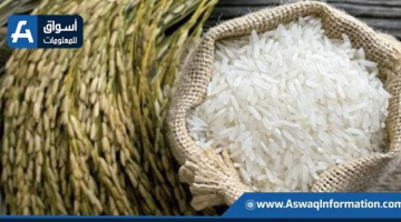 تغيرات جديدة في سعر الأرز الثلاثاء.. كم بلغ سعر طن الشعير اليوم؟