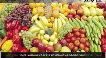 تغييرات جديدة في أسعار الفاكهة اليوم الأحد 24 أغسطس 2025.. تعرف على السعر المحدث