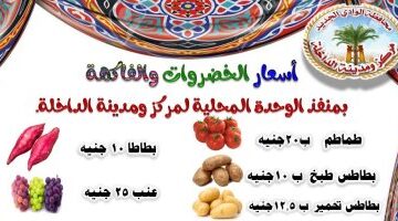 أسعار الخضراوات والفاكهة في منافذ الوادي الجديد الحكومية المخفضة