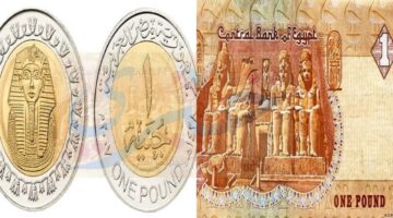 الجنيه المصري يرتفع رغم توقعات السوق بانخفاضه